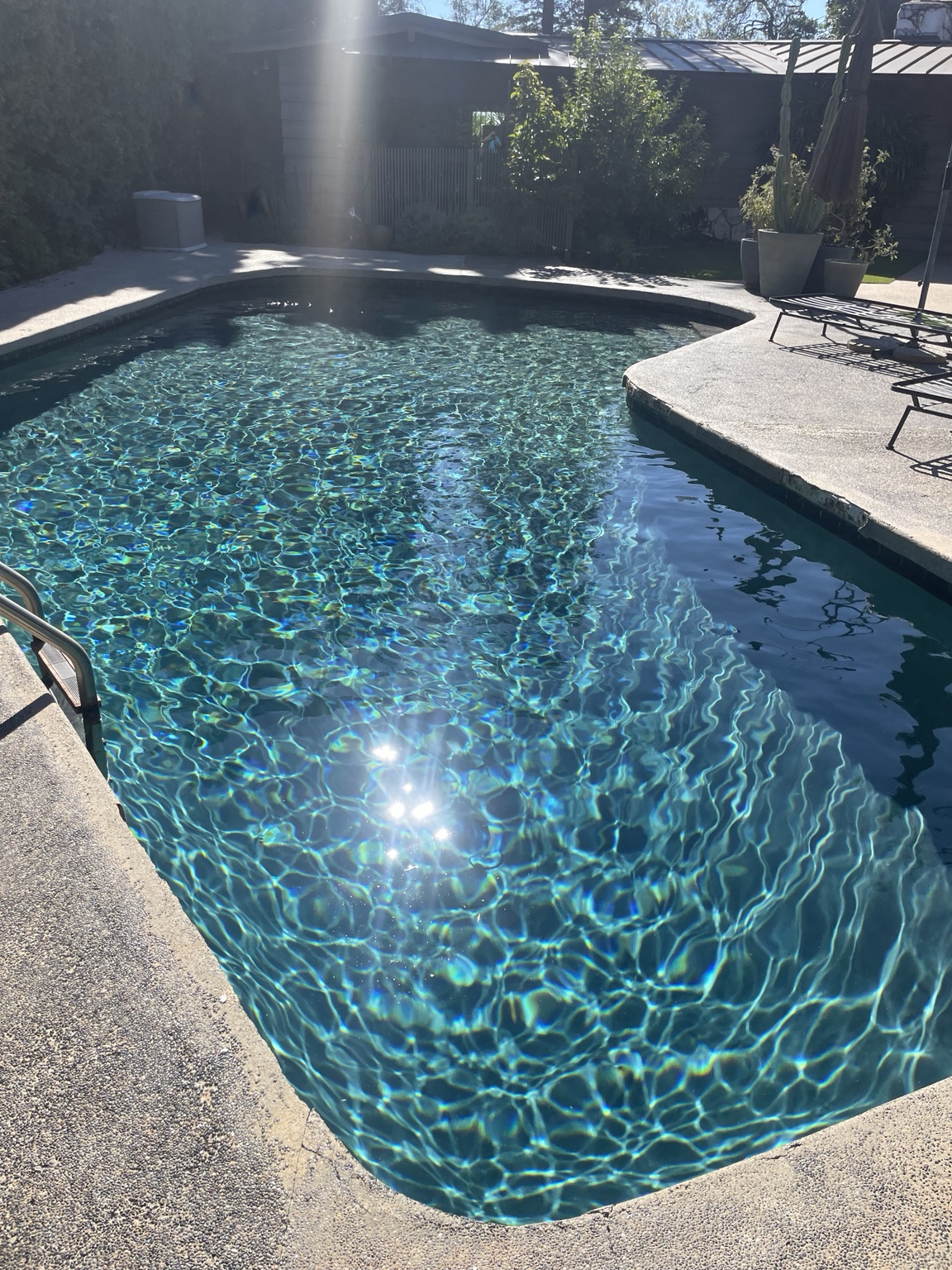 Real pool with sunlight reflecting in clear water, framed by green hedges