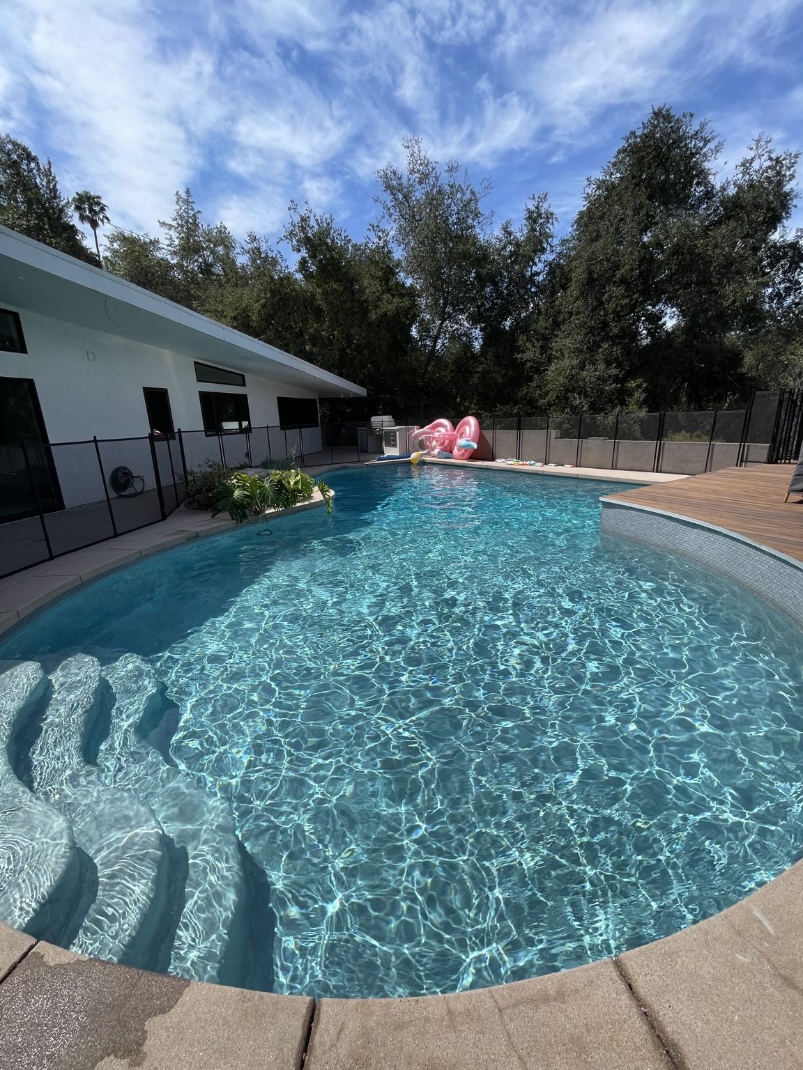 Real bright residential pool with clear blue water and shallow rounded entry steps